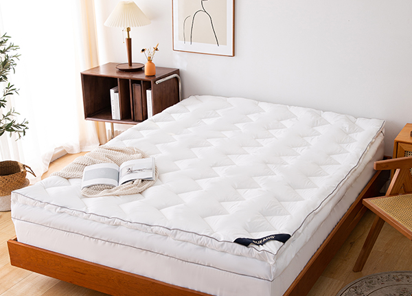 গদি রক্ষাকারী