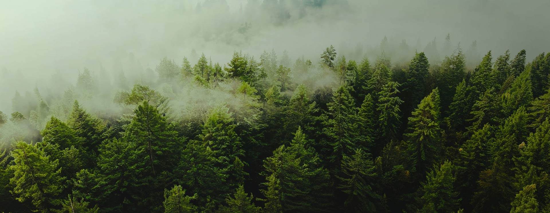 Nantong Sufang টেক্সটাইল কোং, লি.